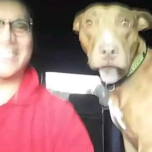 Meet your Posher, Robin